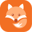 Dunefox Logo
